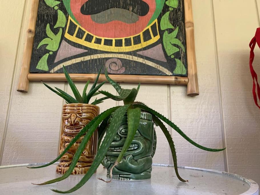 Hau'Oli Place Tiki Cottage In Волкейно Екстериор снимка