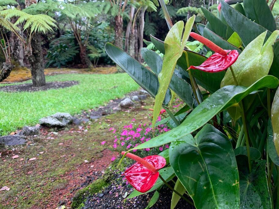 Hau'Oli Place Tiki Cottage In Волкейно Екстериор снимка